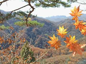 凉山喝打胎药让自己流产(吃打胎药会流干净吗)